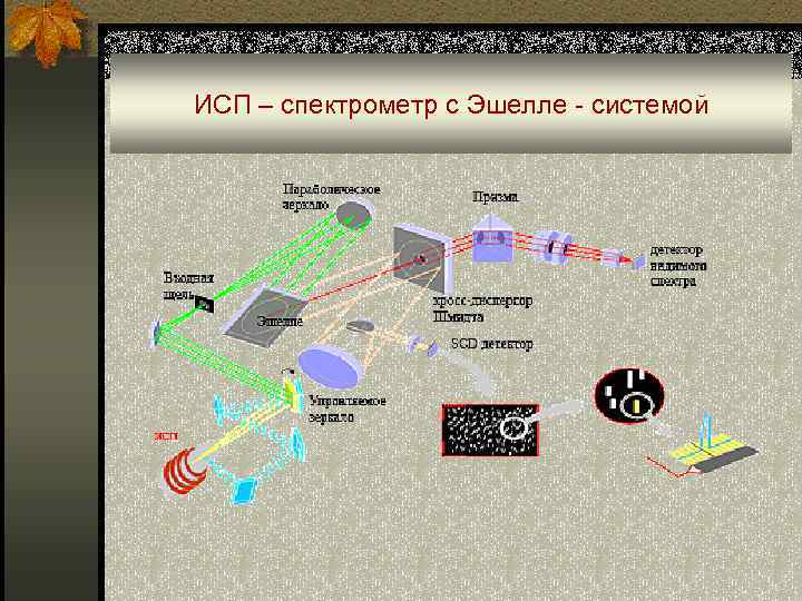 ИСП – спектрометр с Эшелле - системой 