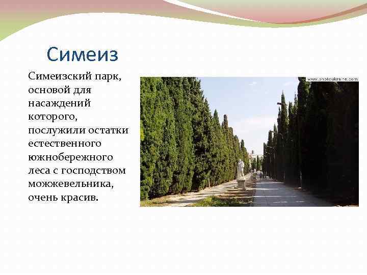 Симеизский парк, основой для насаждений которого, послужили остатки естественного южнобережного леса с господством можжевельника,