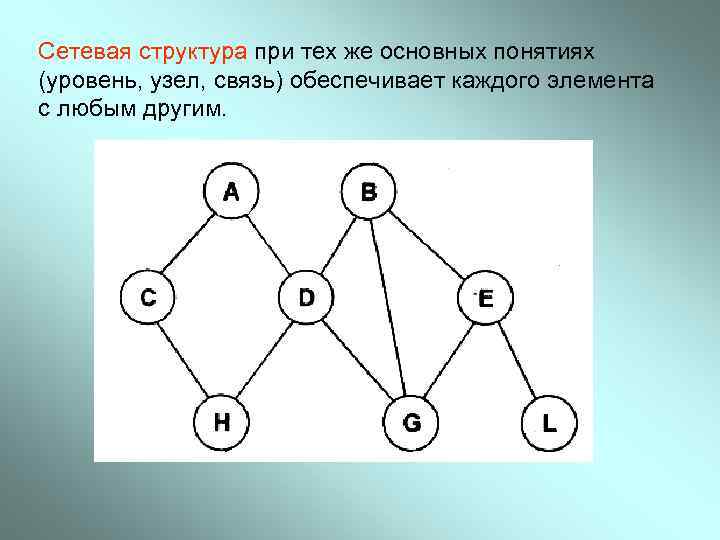 Сетевая структура при тех же основных понятиях (уровень, узел, связь) обеспечивает каждого элемента с