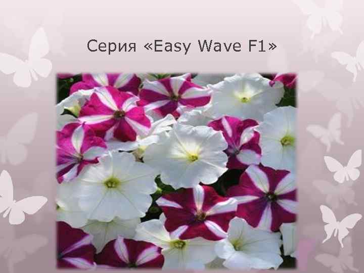 Серия «Easy Wave F 1» 