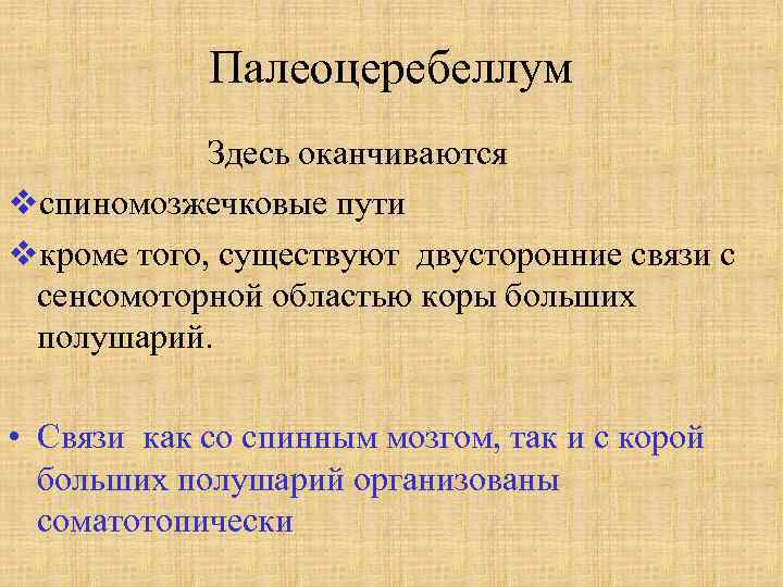 Палеоцеребеллум Здесь оканчиваются vспиномозжечковые пути vкроме того, существуют двусторонние связи с сенсомоторной областью коры