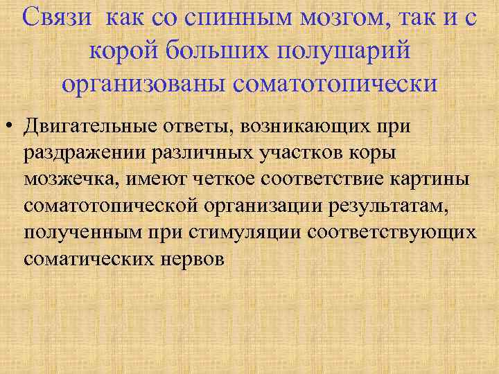 Связи как со спинным мозгом, так и с корой больших полушарий организованы соматотопически •