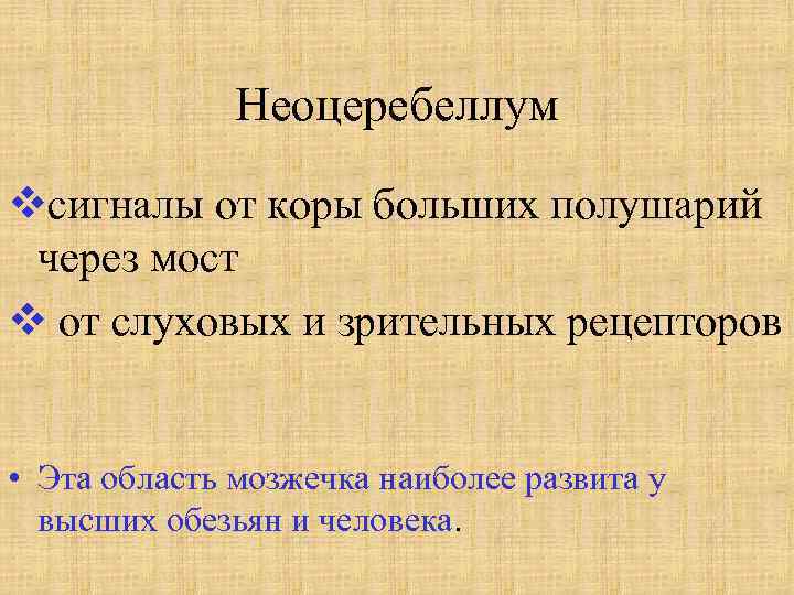 Неоцеребеллум vсигналы от коры больших полушарий через мост v от слуховых и зрительных рецепторов
