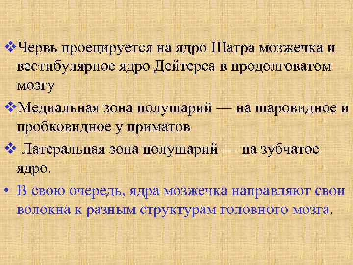 v. Червь проецируется на ядро Шатра мозжечка и вестибулярное ядро Дейтерса в продолговатом мозгу