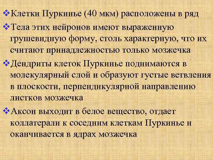 v. Клетки Пуркинье (40 мкм) расположены в ряд v. Тела этих нейронов имеют выраженную