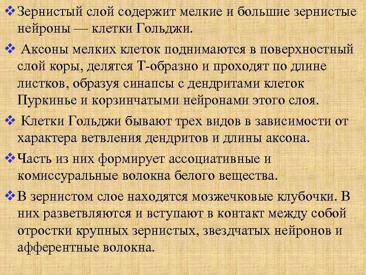 v Зернистый слой содержит мелкие и большие зернистые нейроны — клетки Гольджи. v Аксоны