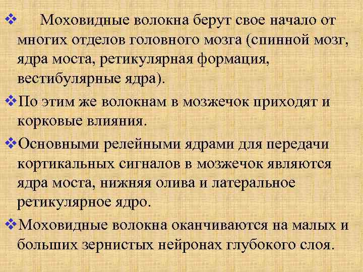 v Моховидные волокна берут свое начало от многих отделов головного мозга (спинной мозг, ядра