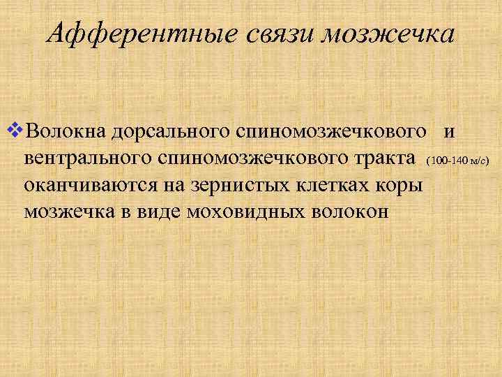 Афферентные связи мозжечка v. Волокна дорсального спиномозжечкового и вентрального спиномозжечкового тракта (100 -140 м/с)