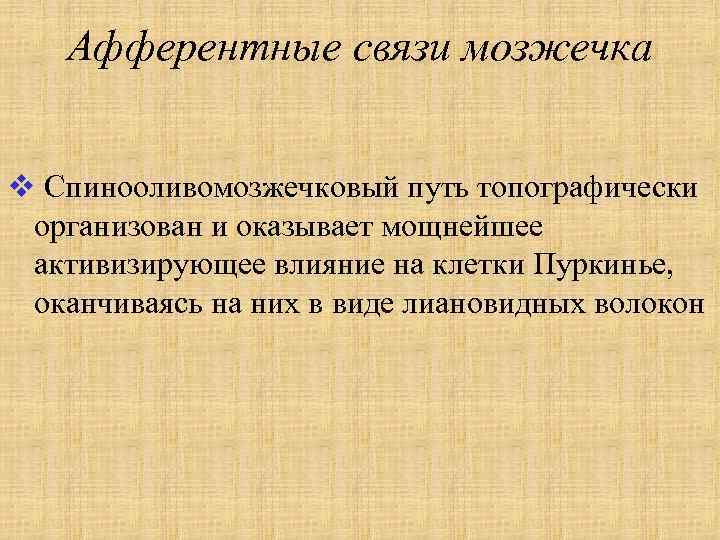 Афферентные связи мозжечка v Спинооливомозжечковый путь топографически организован и оказывает мощнейшее активизирующее влияние на