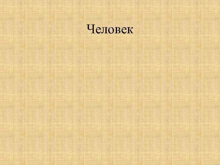 Человек 