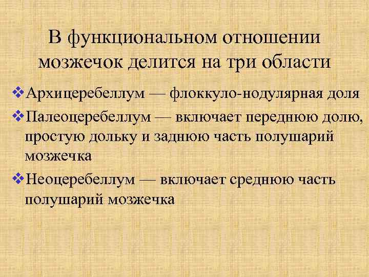 В функциональном отношении мозжечок делится на три области v. Архицеребеллум — флоккуло-нодулярная доля v.