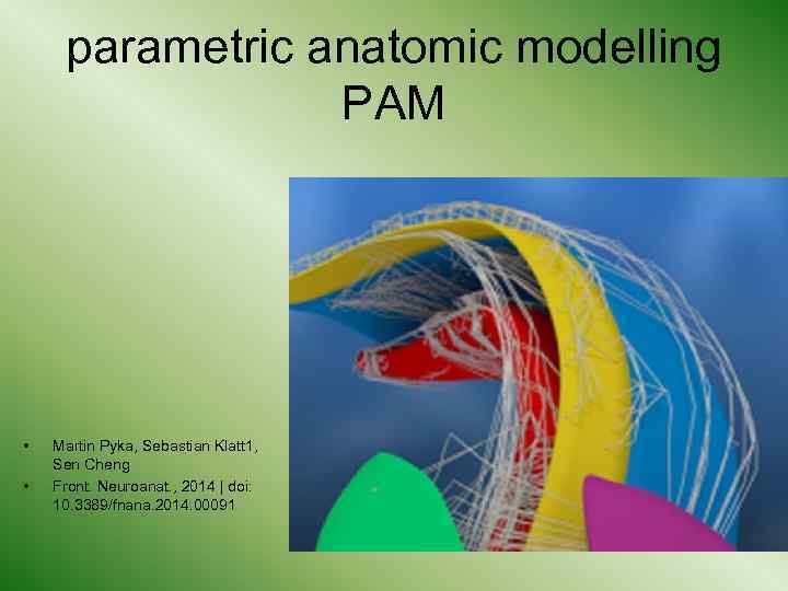 parametric anatomic modelling PAM • • Martin Pyka, Sebastian Klatt 1, Sen Cheng Front.