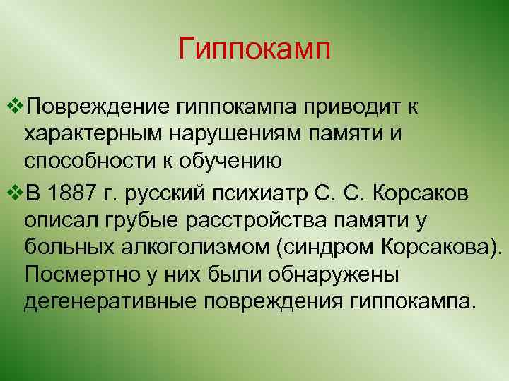 Гиппокамп v. Повреждение гиппокампа приводит к характерным нарушениям памяти и способности к обучению v.