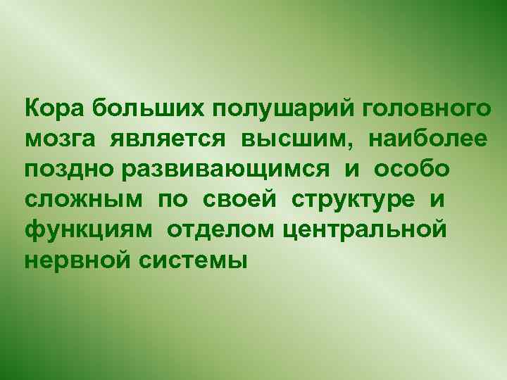  Кора больших полушарий головного мозга является высшим, наиболее поздно развивающимся и особо сложным
