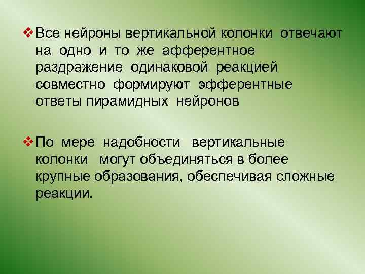 v Все нейроны вертикальной колонки отвечают на одно и то же афферентное раздражение одинаковой