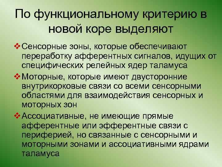По функциональному критерию в новой коре выделяют v Сенсорные зоны, которые обеспечивают переработку афферентных
