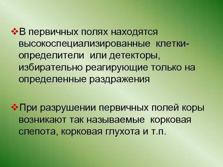 v. В первичных полях находятся высокоспециализированные клеткиопределители или детекторы, избирательно реагирующие только на определенные