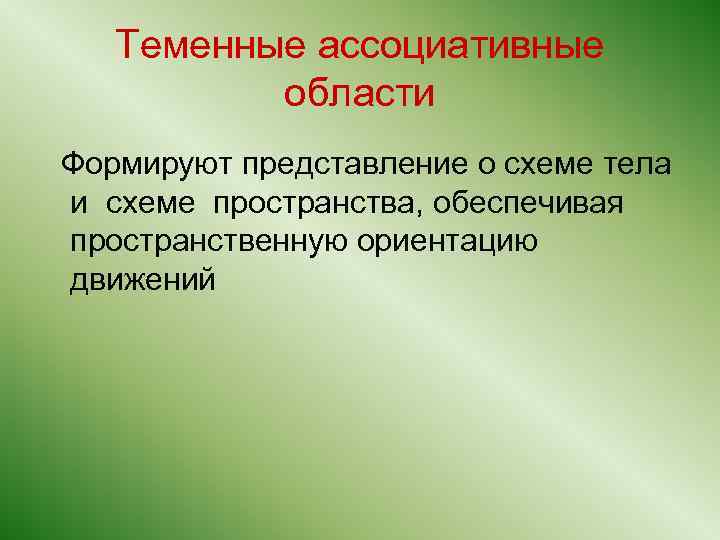 Теменные ассоциативные области Формируют представление о схеме тела и схеме пространства, обеспечивая пространственную ориентацию