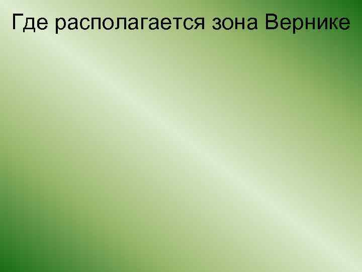 Где располагается зона Вернике 
