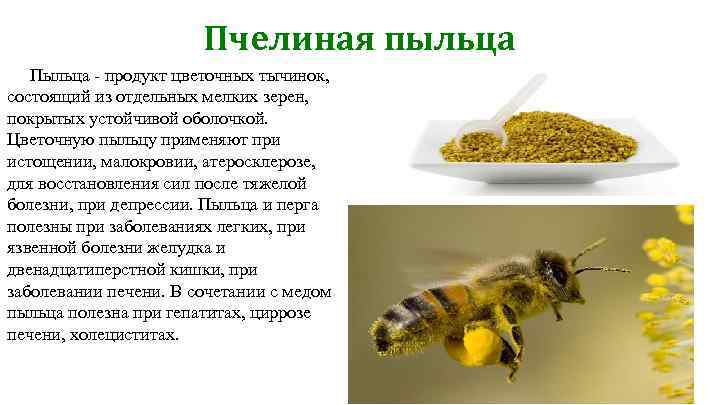 Пыльца для организма