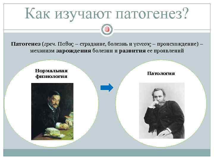 Как изучают патогенез? Патогенез (греч. Παθος – страдание, болезнь и γενεσις – происхождение) –