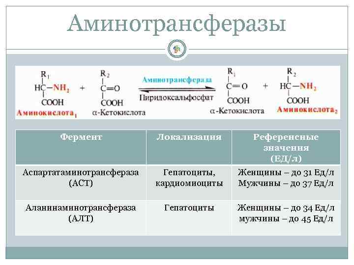 Аминотрансферазы Фермент Локализация Референсные значения (ЕД/л) Аспартатаминотрансфераза (АСТ) Гепатоциты, кардиомиоциты Женщины – до 31