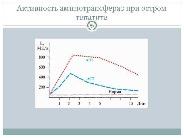 Активность аминотрансфераз при остром гепатите 
