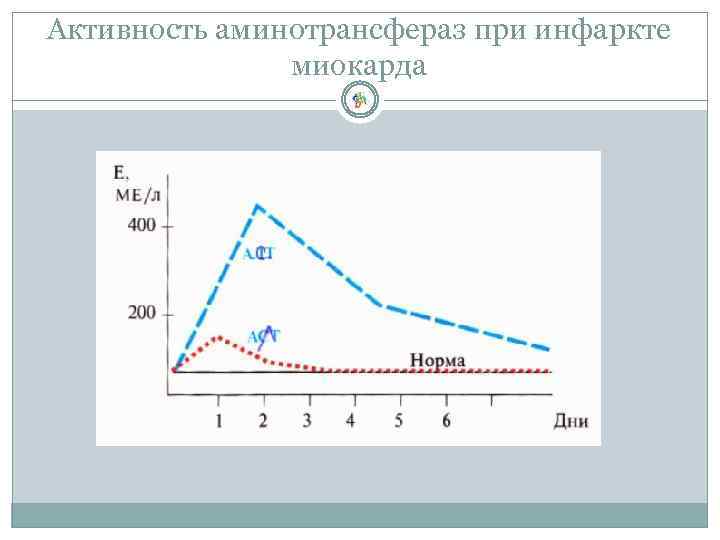 Активность аминотрансфераз при инфаркте миокарда 