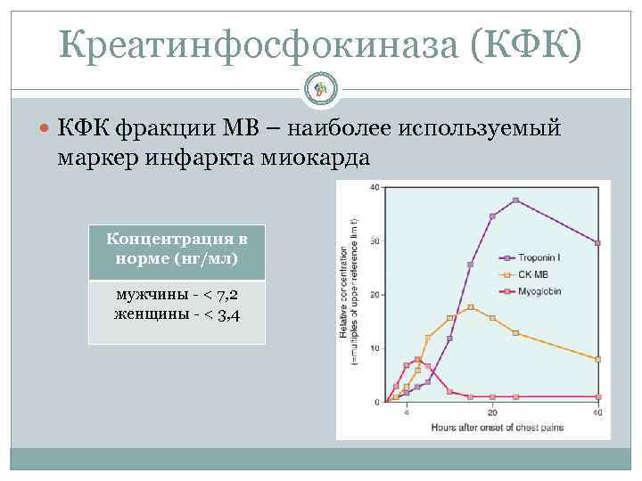 Креатинфосфокиназа (КФК) КФК фракции МВ – наиболее используемый маркер инфаркта миокарда Концентрация в норме