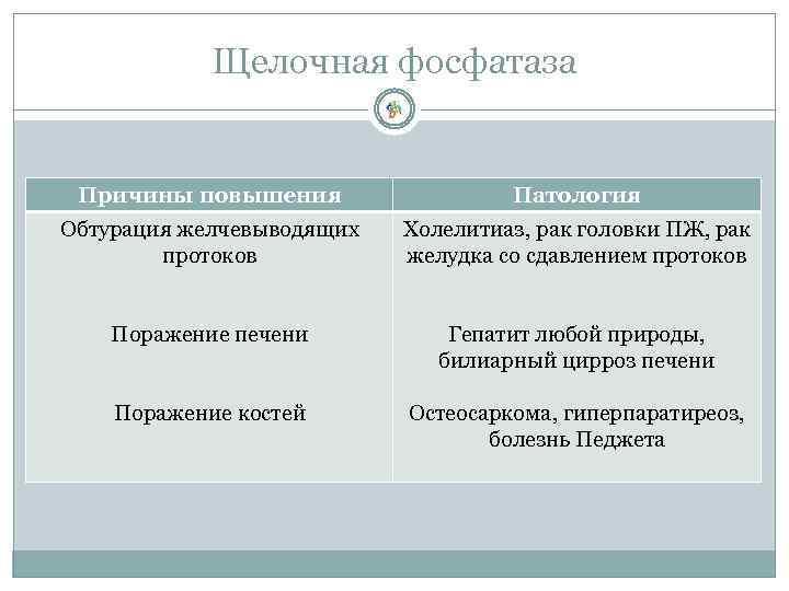 Щелочная фосфатаза Причины повышения Патология Обтурация желчевыводящих протоков Холелитиаз, рак головки ПЖ, рак желудка