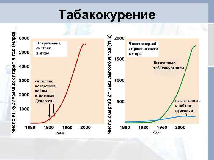 Число смертей от рака легкого в год (тыс) Число выкуриваемых сигарет в год (млрд)