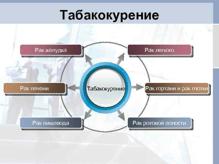 Табакокурение Рак желудка Рак печени Рак пищевода Рак легкого Табакокурение Рак гортани и рак