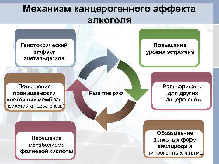 Механизм канцерогенного эффекта алкоголя Генотоксический эффект Text in here ацетальдегида Повышение уровня эстрогена Text