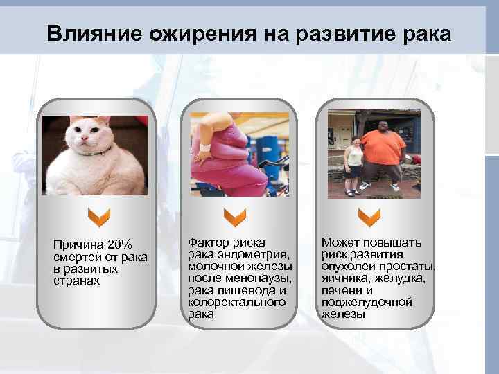 Влияние ожирения на развитие рака Причина 20% смертей от рака в развитых странах Фактор