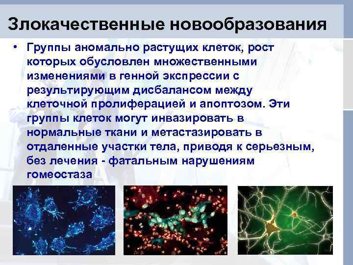 Злокачественные новообразования • Группы аномально растущих клеток, рост которых обусловлен множественными изменениями в генной