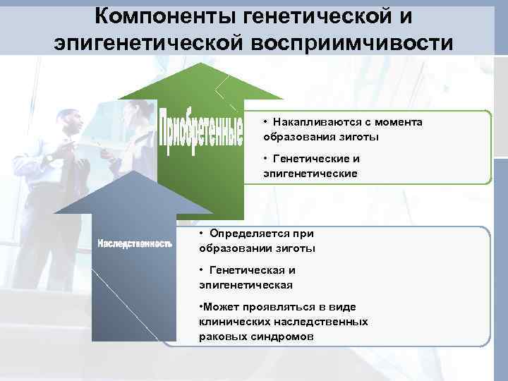 Компоненты генетической и эпигенетической восприимчивости • Накапливаются с момента образования зиготы • Генетические и