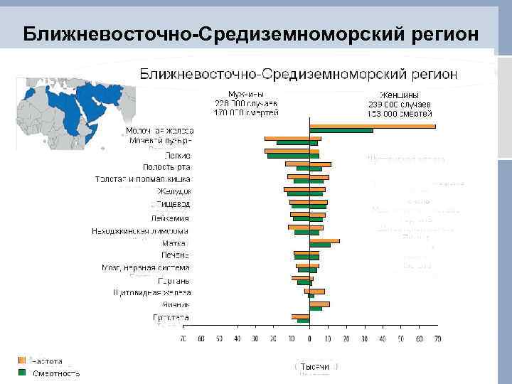 Ближневосточно-Средиземноморский регион 