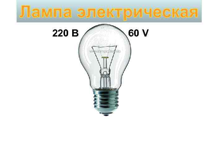 Лампа электрическая 220 В 60 V 
