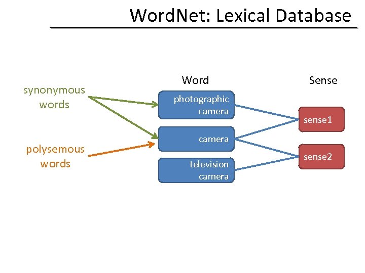 Word. Net: Lexical Database synonymous words polysemous words Word photographic camera Sense sense 1