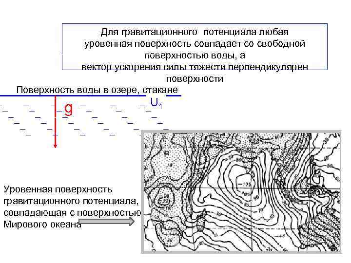 Для гравитационного потенциала любая уровенная поверхность совпадает со свободной поверхностью воды, а вектор ускорения