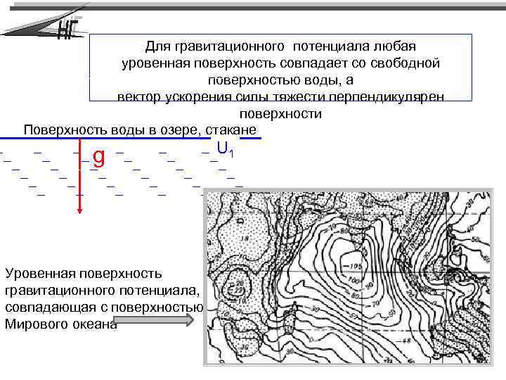 Для гравитационного потенциала любая уровенная поверхность совпадает со свободной поверхностью воды, а вектор ускорения