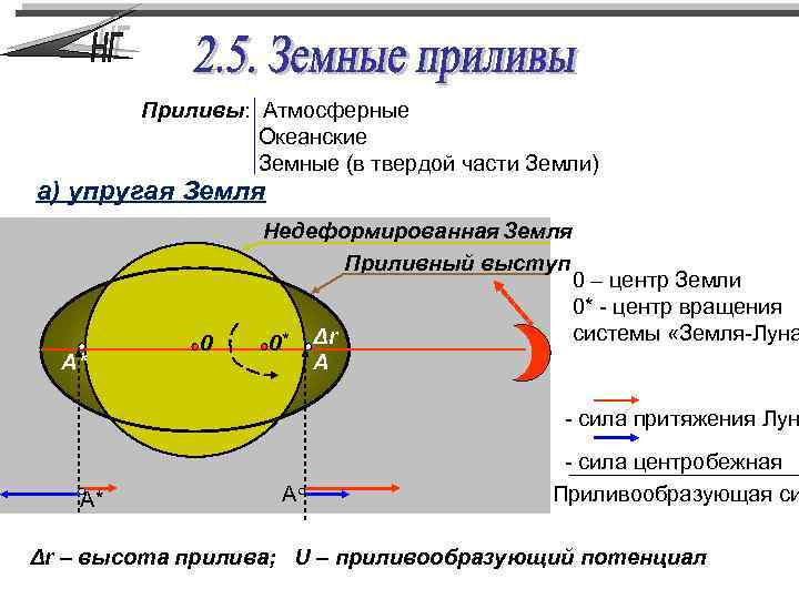 Приливы: Атмосферные Океанские Земные (в твердой части Земли) а) упругая Земля А* 0 Недеформированная