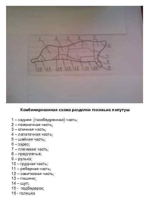 Комбинированная схема разделки говяжьих полутуш 1 – задняя (тазобедренная) часть; 2 – поясничная часть;