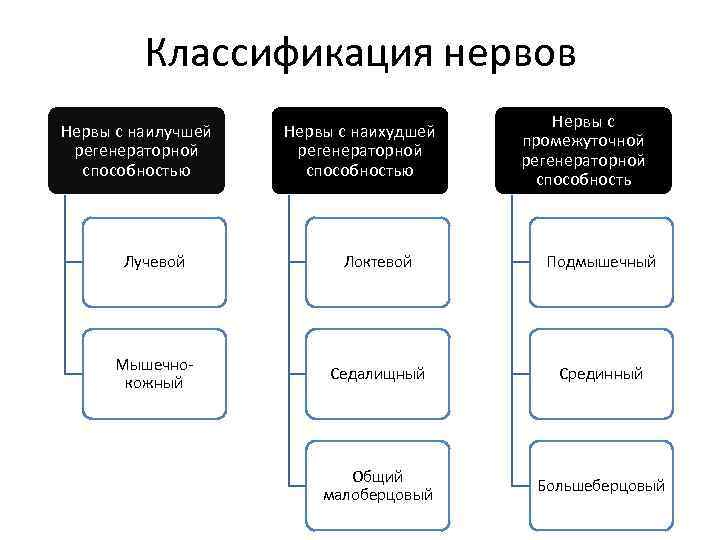 Классификация нервов Нервы с наилучшей регенераторной способностью Нервы с наихудшей регенераторной способностью Нервы с