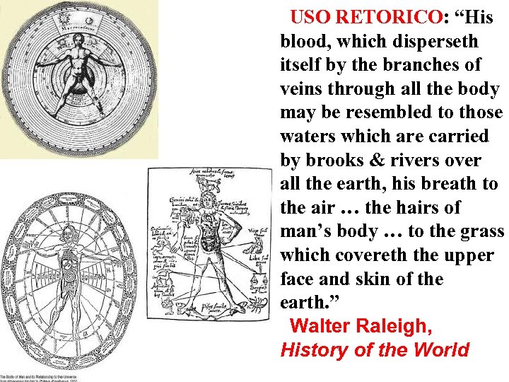 USO RETORICO: “His blood, which disperseth itself by the branches of veins through all