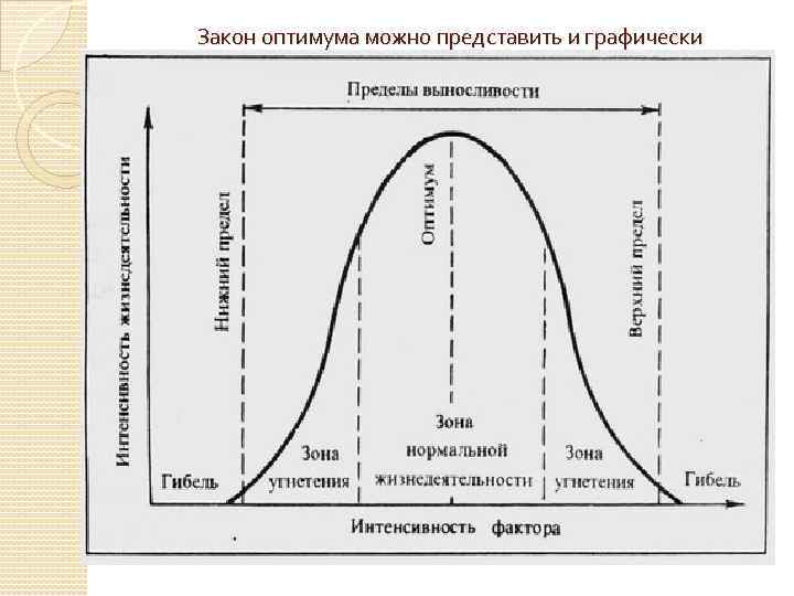 Закон оптимума можно представить и графически 