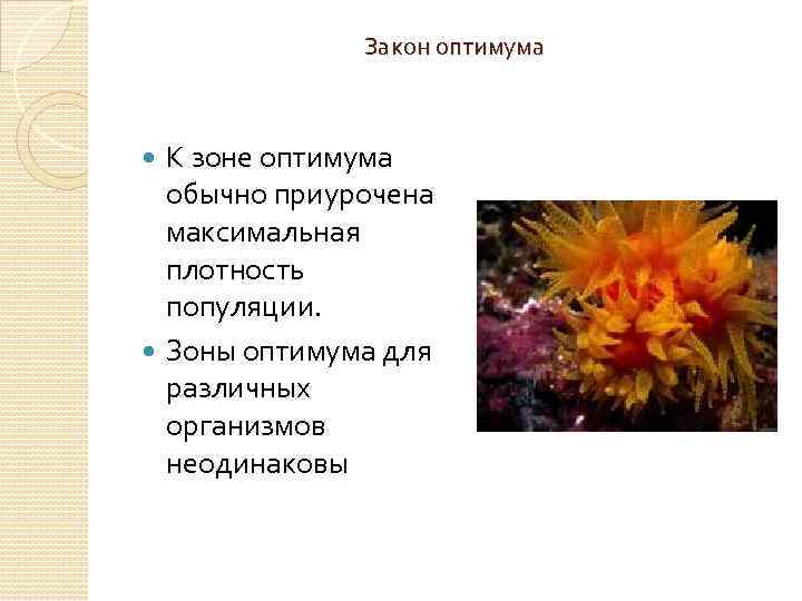 Закон оптимума К зоне оптимума обычно приурочена максимальная плотность популяции. Зоны оптимума для различных