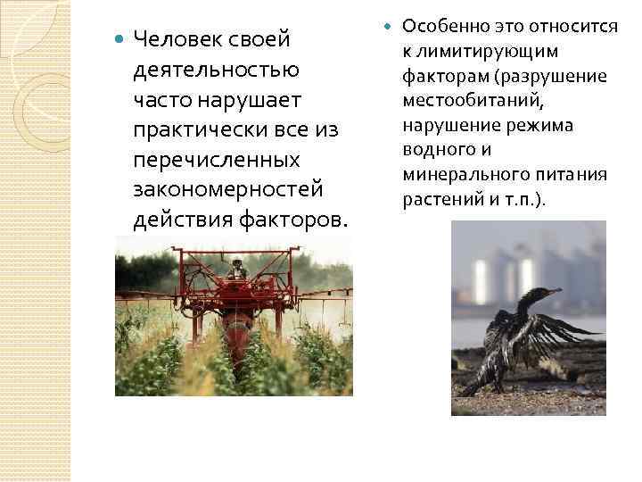  Человек своей деятельностью часто нарушает практически все из перечисленных закономерностей действия факторов. Особенно