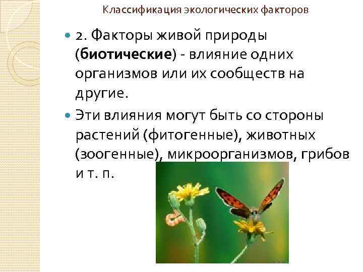 Классификация экологических факторов 2. Факторы живой природы (биотические) - влияние одних организмов или их