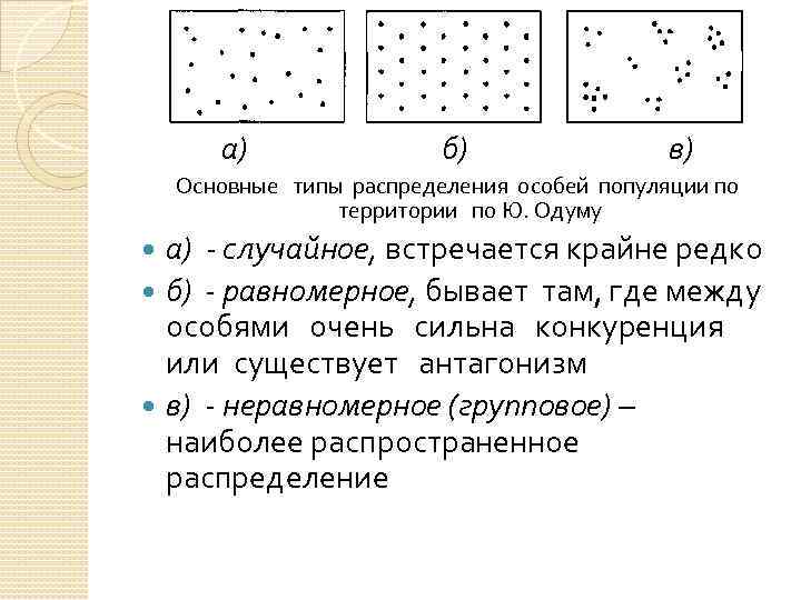  а) б) в) Основные типы распределения особей популяции по территории по Ю. Одуму
